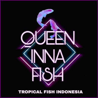 Trademark Queen Inna tropical fish