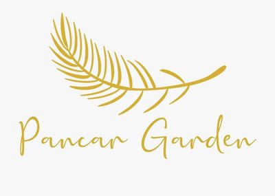 Trademark Pancar Garden