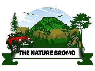 Trademark THE NATURE BROMO + LOGO