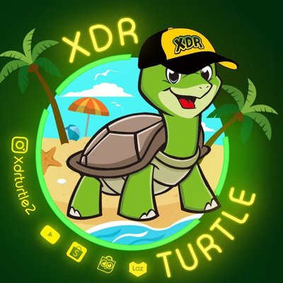 Trademark XDR TURTLE