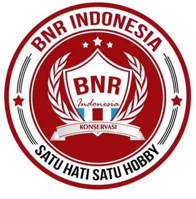 Trademark BNR