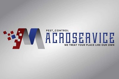 Trademark MACROSERVICE + LOGO