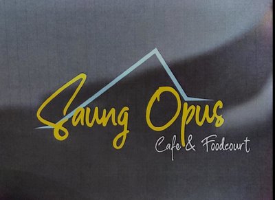 Trademark SAUNG OPUS