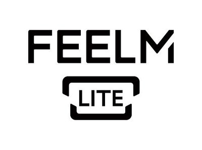 Trademark FEELM LITE dan Lukisan