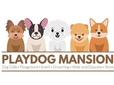 Trademark PLAYDOG MANSION + LOGO