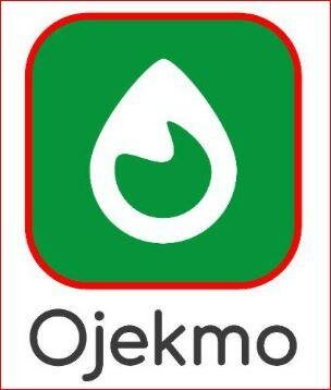 Trademark Ojekmo + Logo