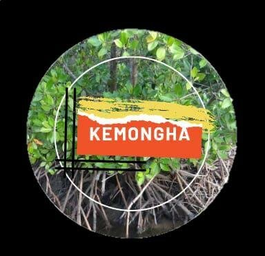 Trademark KEMONGHA