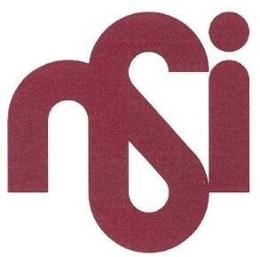 Trademark Logo NSI