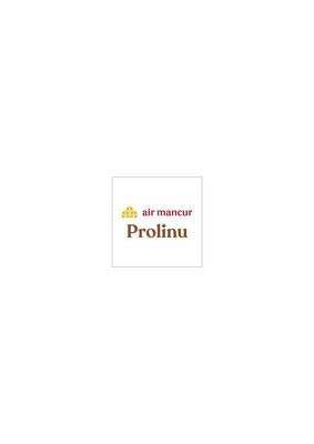 Trademark air mancur Prolinu
