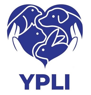 Trademark YPLI + Lukisan