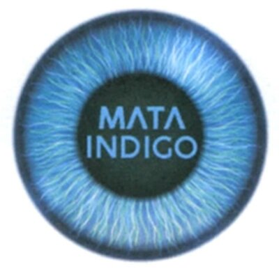 Trademark MATA INDIGO dan LUKISAN