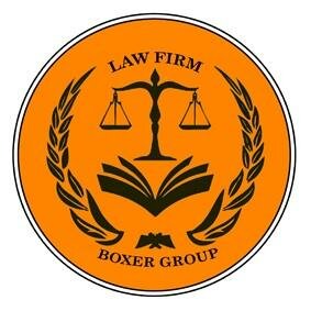 Trademark BOXER GROUP