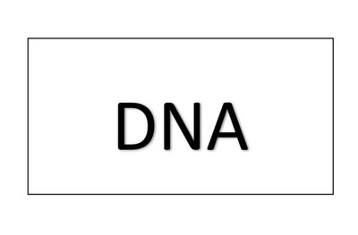 Trademark DNA