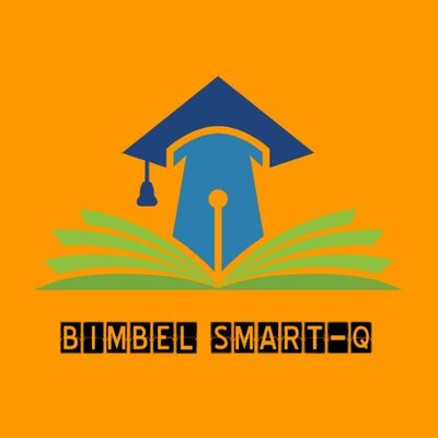 Trademark BIMBEL SMART-Q