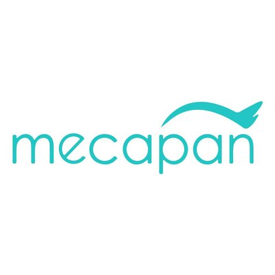 Trademark MECAPAN + LOGO