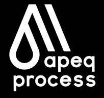 Trademark apeq process & Logo