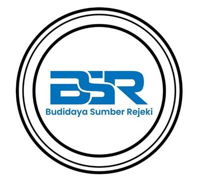 Trademark BSR BUDIDAYA SUMBER REJEKI