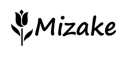 Trademark Mizake