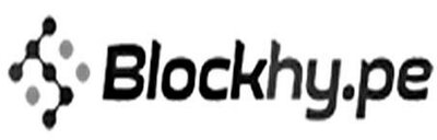 Trademark Blockhy.pe & Logo