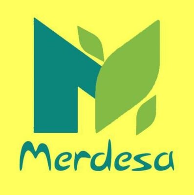 Trademark Merdesa