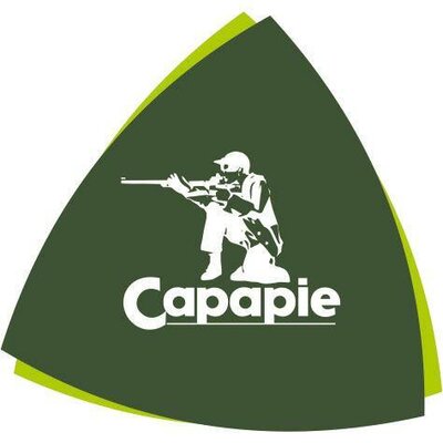 Trademark CAPAPIE + Logo