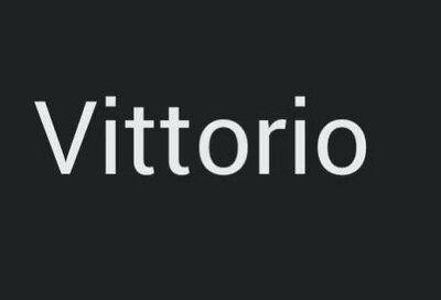 Trademark VITTORIO DAN LOGO