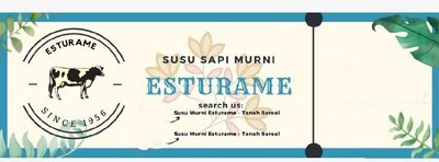 Trademark Esturame