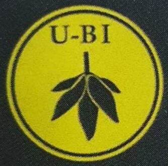 Trademark U-BI