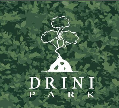 Trademark DRINI PARK + LOGO