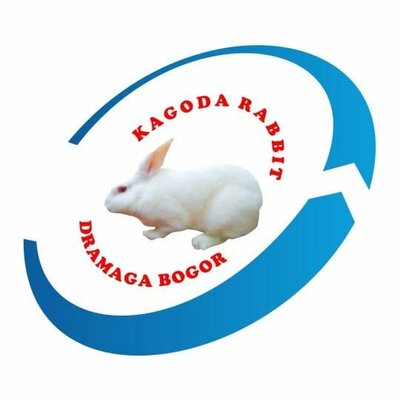 Trademark KAGODA RABBIT