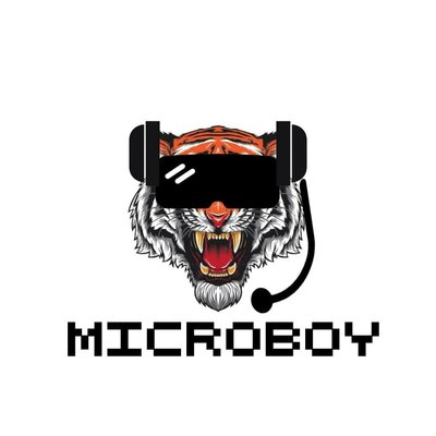 Trademark MICROBOY