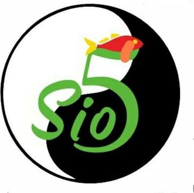 Trademark SIO5 DAN LOGO