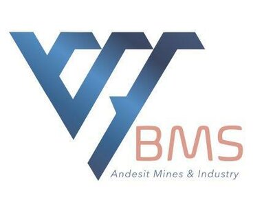 Trademark BMS