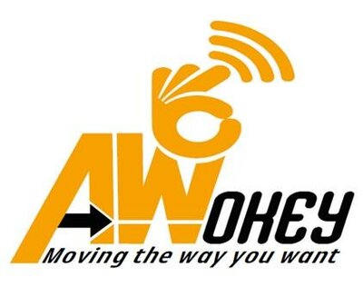 Trademark AWOKEY Moving the way you want & Logo