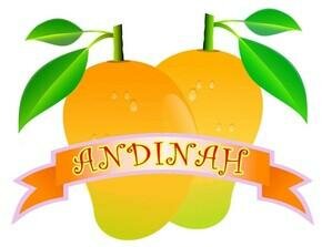 Trademark Andinah