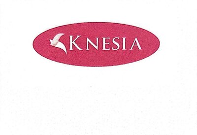 Trademark K-Nesia