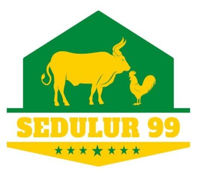 Trademark SEDULUR 99