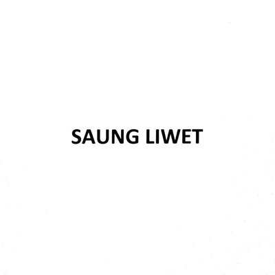 Trademark SAUNG LIWET