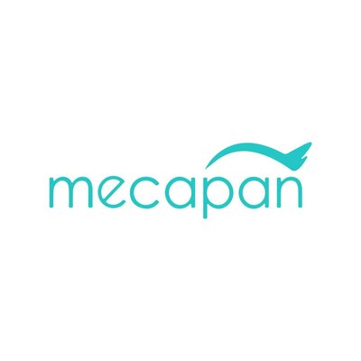 Trademark MECAPAN