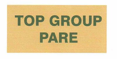 Trademark TOP GROUP PARE