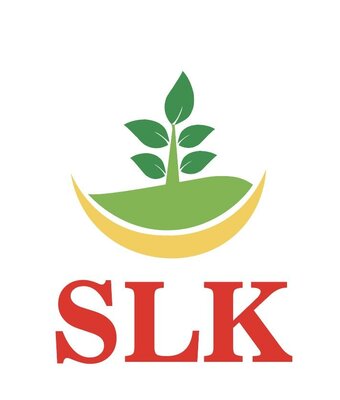 Trademark SLK + LOGO