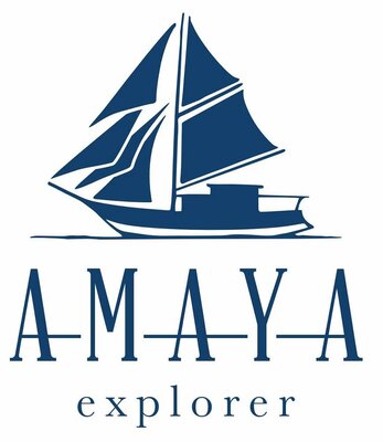 Trademark AMAYA EXPLORER