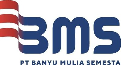 Trademark BMS + Logo