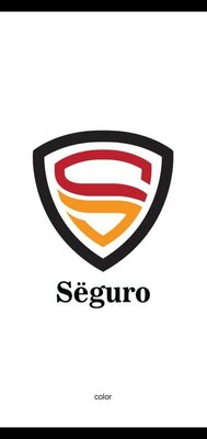 Trademark Seguro