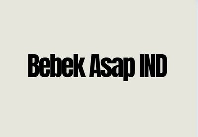 Trademark BEBEK ASAP IND