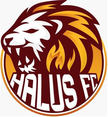 Trademark HALUS FC & LUKISAN