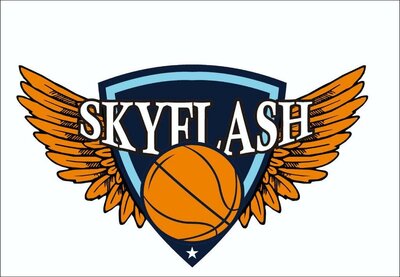 Trademark SKYFLASH