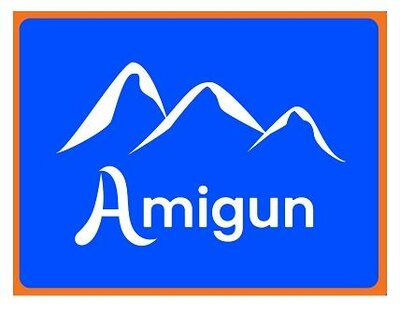 Trademark AMIGUN + LOGO