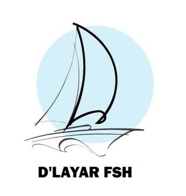 Trademark D'LAYAR FSH + Lukisan