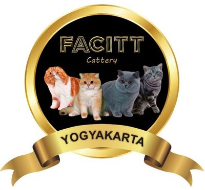 Trademark FACITT CATTERY YOGYAKARTA + GAMBAR KUCING